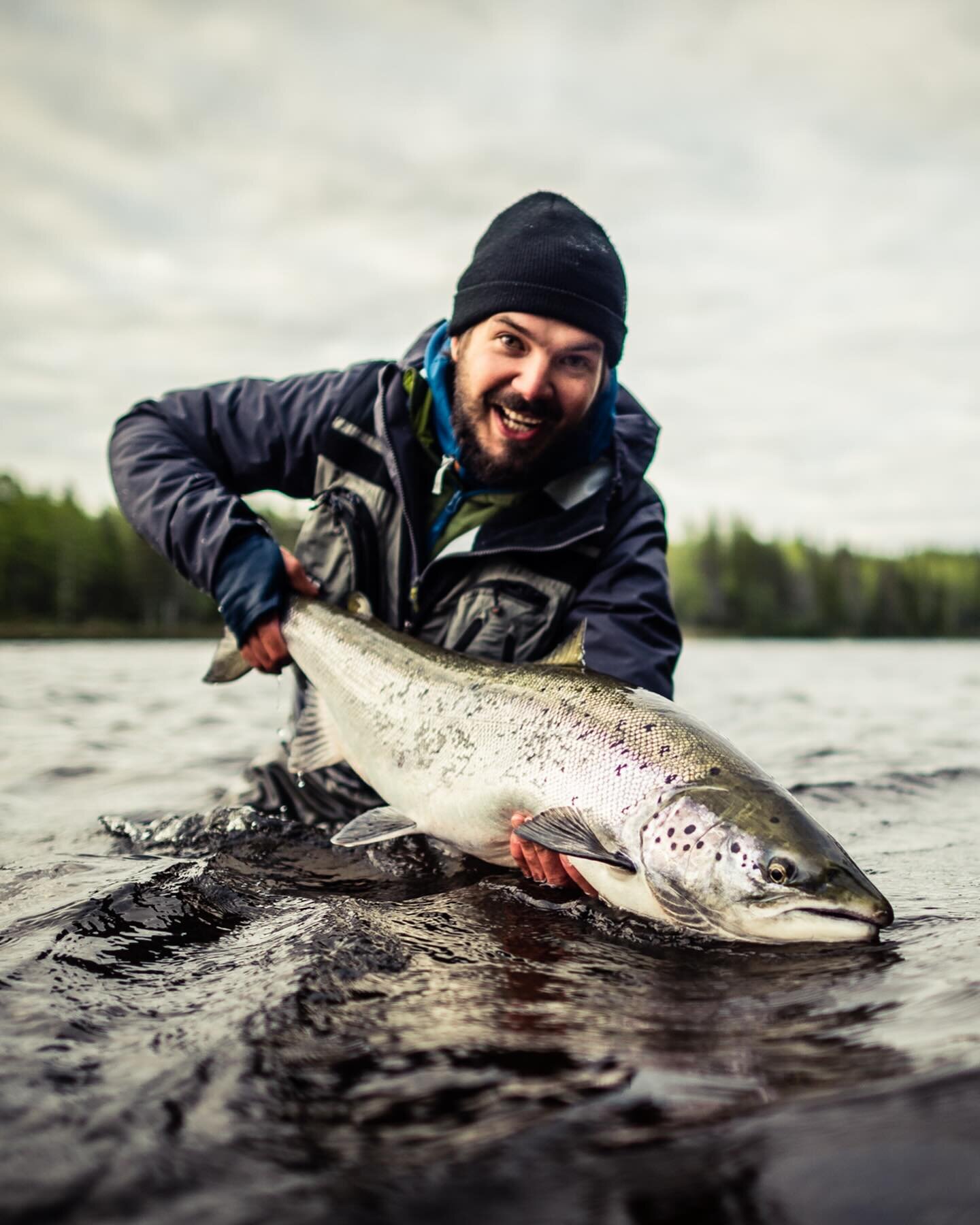 salmon sunday 

All about silver. 10 great pictures that make you dream about the early season days. 

#kengisbruk #flyfishing #kengisfeeling #balticsalmon