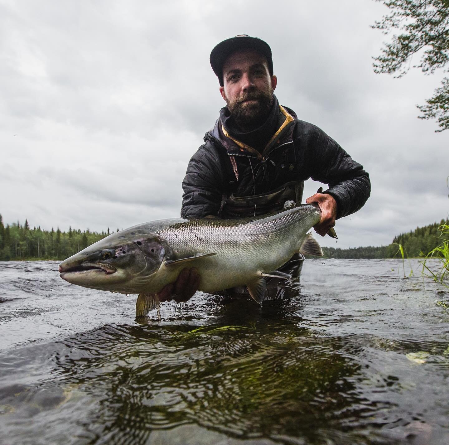 salmon sunday 

The season is getting closer and closer. 

Are you ready? 

#kengisbruk #flyfishing #kengisfeeling #balticsalmon