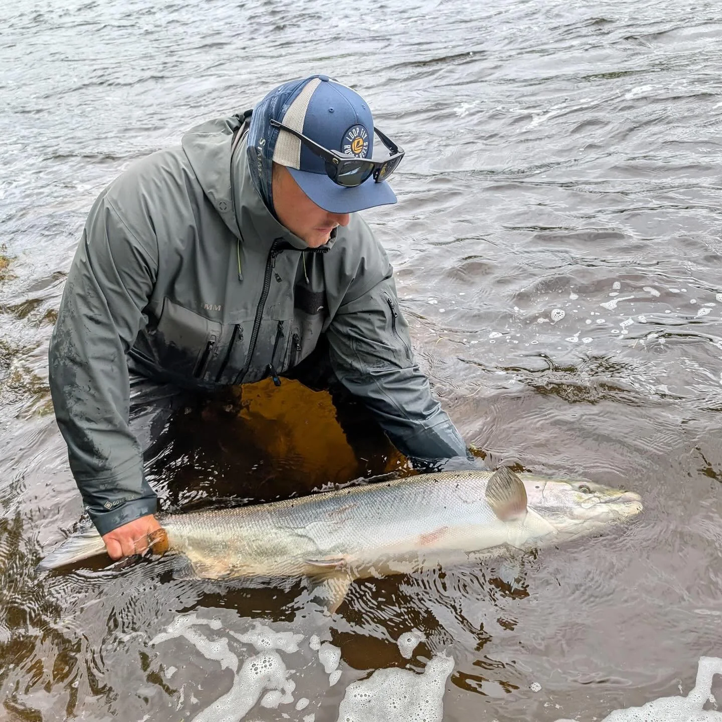 Early season at Kengis Bruk 

This year it was special! 

They came early, showed themselves and striked our flies

And some was in really good shape 

Just what we hope for every season and what keeps us in the water in the difficult years 

Memorie