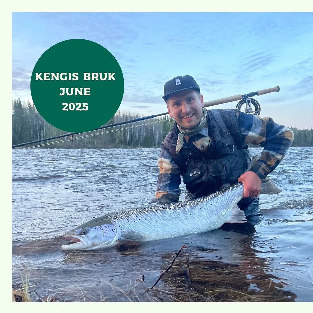 JUNE 2025 

June was epic! 

Big Baltic salmon, just like we dream about. 

Let&rsquo;s hope it&rsquo;s a trend that continues 

#kengisbruk #flyfishing #kengisfeeling #balticsalmon