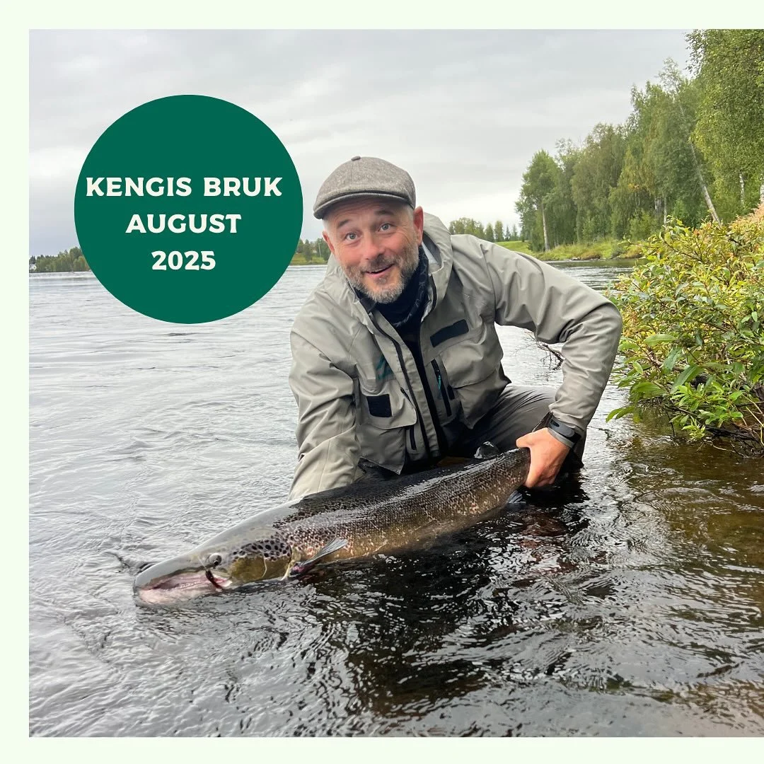 AUGUST 2025 

We had a great ending of the 2025 season. 

Smiles, fish, good food and a lot of Kengis feeling. 

When the first cast are made there is a long time to the end of August, but all of a sudden it&rsquo;s there and another great season ha 