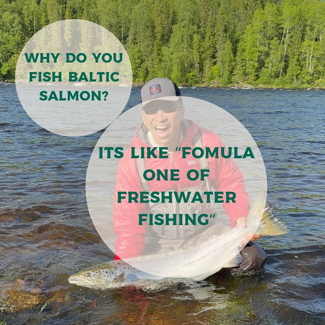 Why do you fish for Baltic salmon? 👇🏻

This salmon Sunday we dive into a interesting question.

A question we asked our regular guests from Kengis Bruk. 

Why do you fish for Baltic salmon? 

Slide to see why @fishing_dojo fish for Baltic salmon. 
