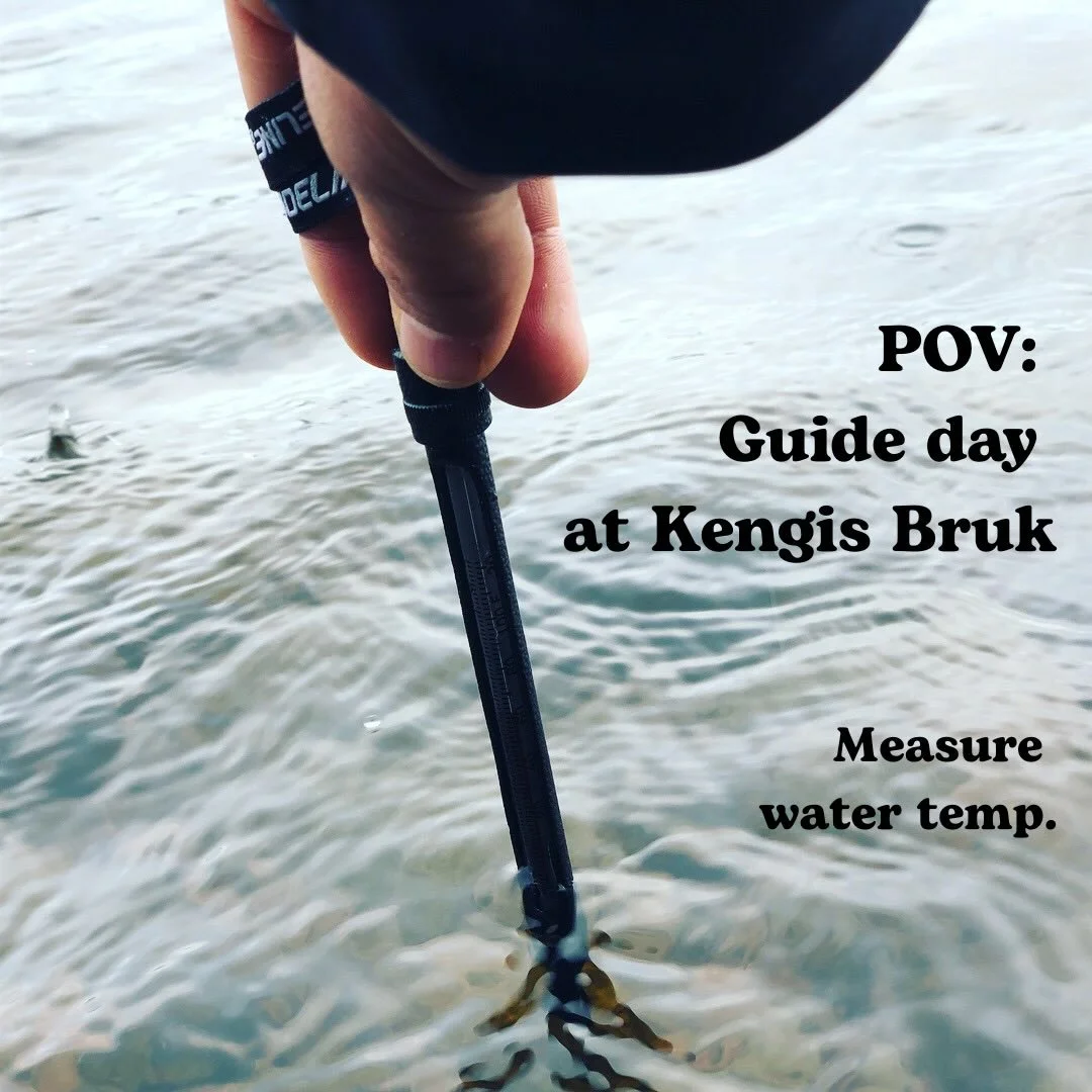 POV: A guide day at Kengis Bruk 

Follow along for some glimpse of a good day at Kengis Bruk. 

Is there a better job than being s fishing guide? 

#kengisbruk #flyfishing #kengisfeeling #balticsalmon
