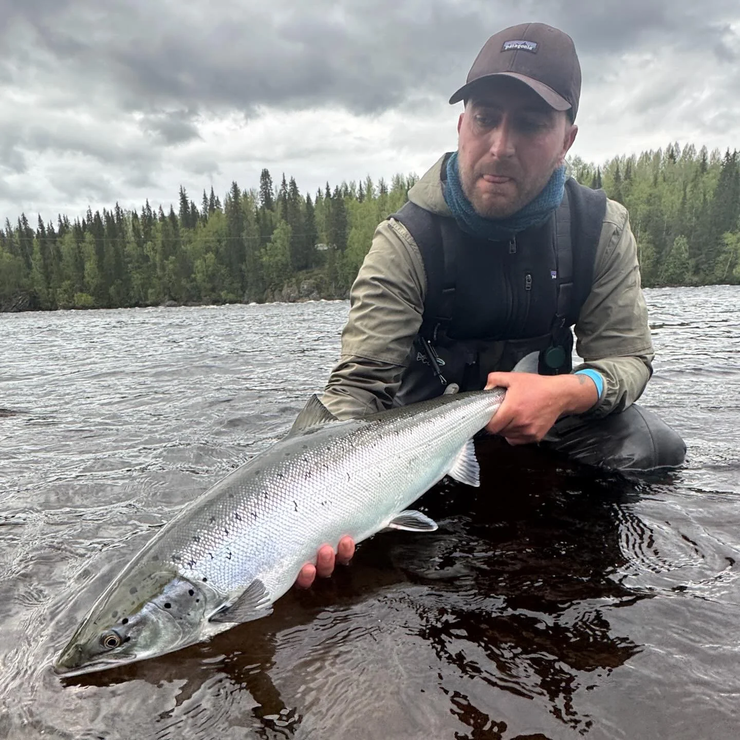 Salmon Sunday 

It&rsquo;s getting colder and we look back at a summer with big silver fish! 

And then we look forward to the upcoming season. 

More memories to come. 

#kengisbruk #flyfishing #kengisfeeling #balticsalmon