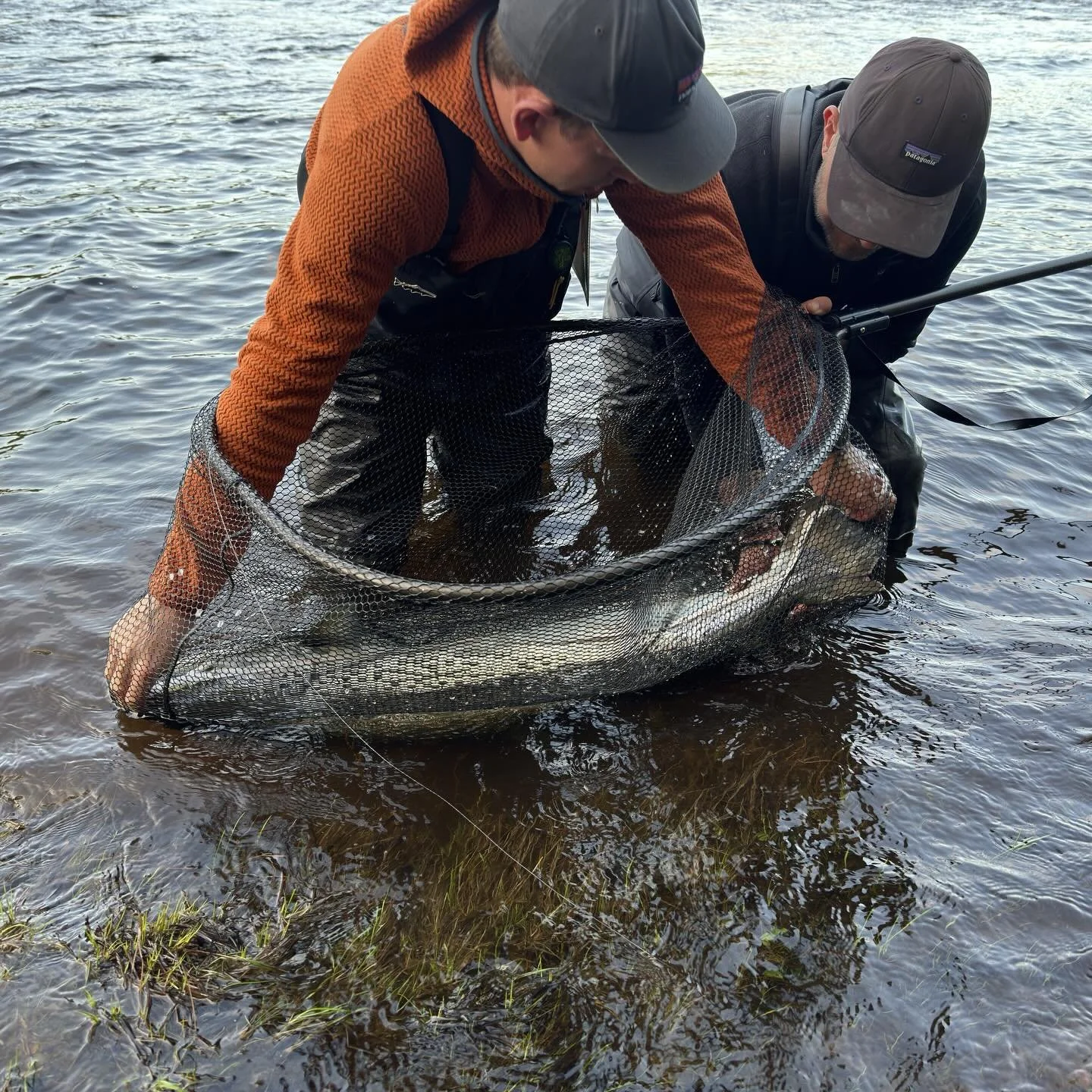 How long was it? 

#kengisbruk #flyfishing #kengisfeeling #balticsalmon