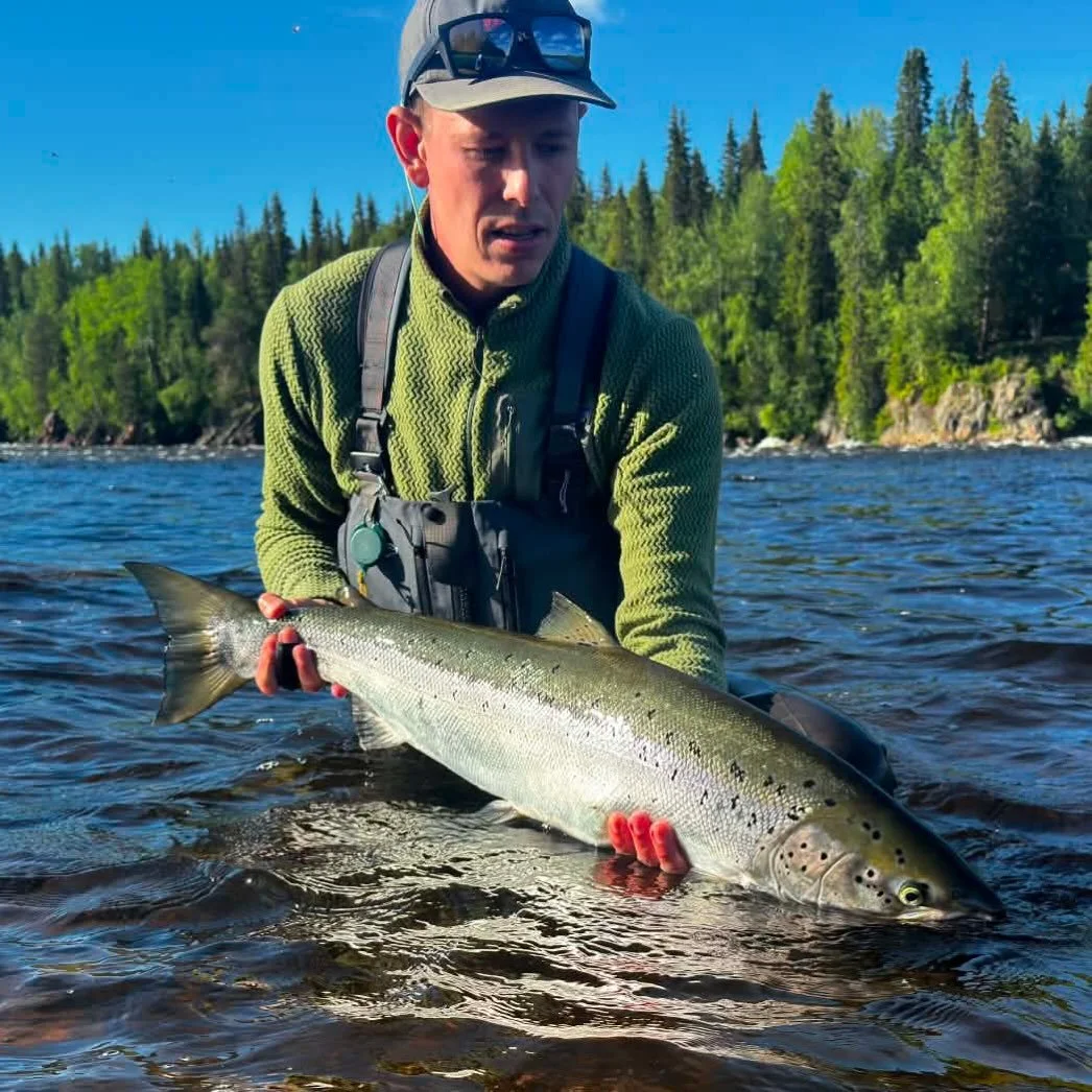 First fish of the season 

I have known @thomashjemsted_flyfishing for years. He started as a young guy really into salmon fly fishing, but with some things to learn and now he has developed to a real salmon fisherman! Hard working, good casting and 