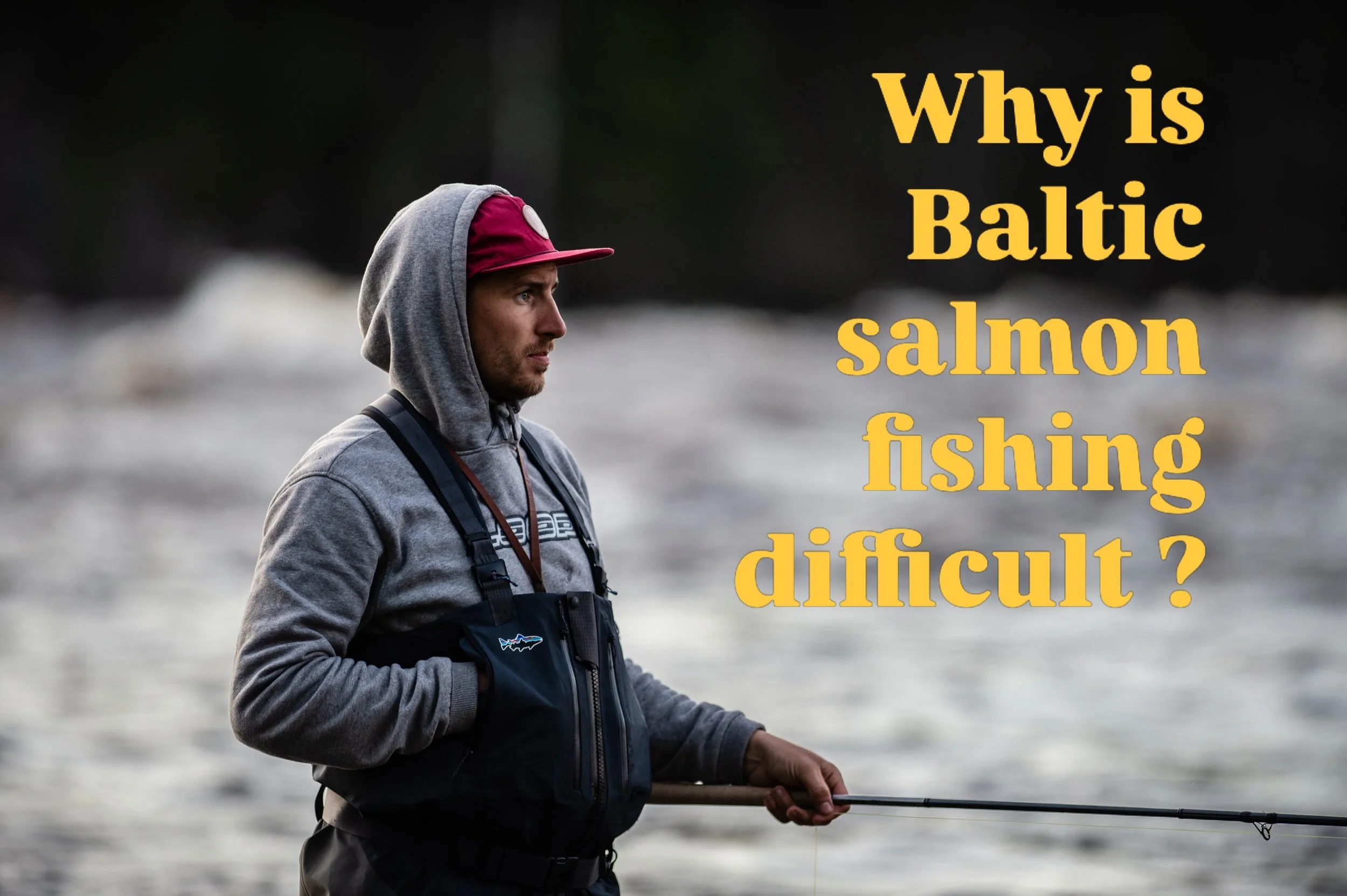 Why is Baltic salmon fishing difficult? 

Slide to get the answer. 

#kengisfeeling #kengisbruk #balticsalmon #flyfishing