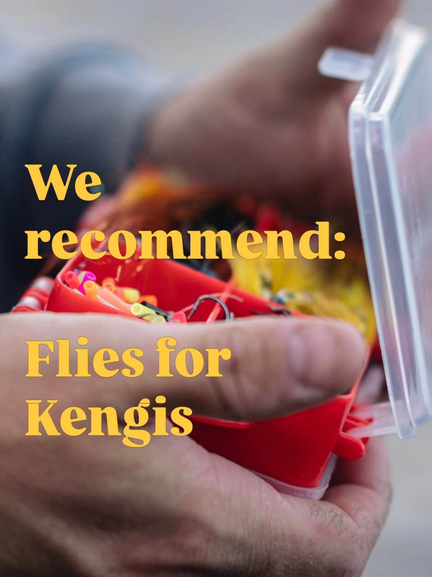 All about flies! 

#kengisfeeling #kengisbruk #balticsalmon #flyfishing
