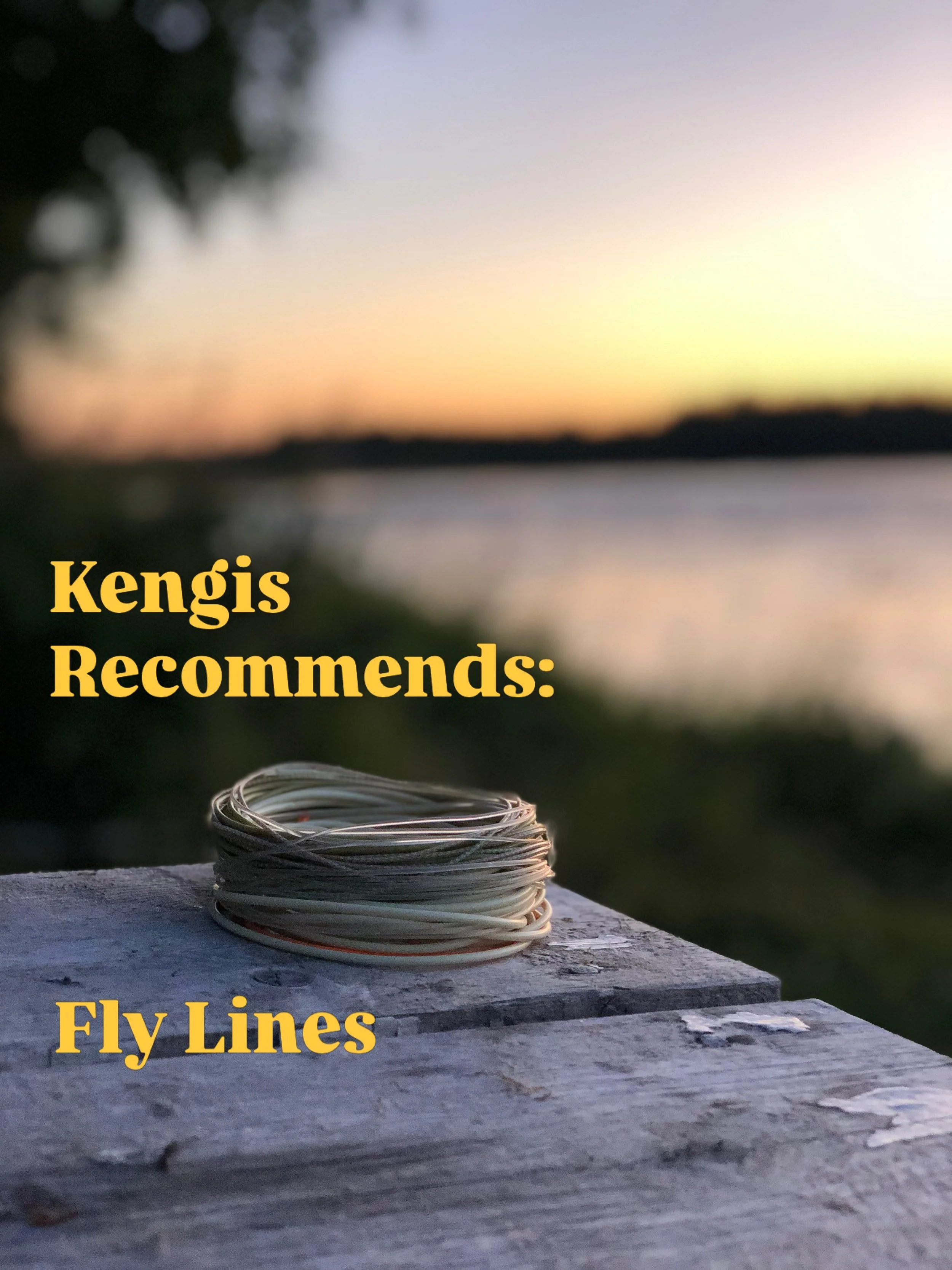 Kengis recommends - Fly lines 

This time are talking about lines. 

It&rsquo;s so difficult find the right fly, and it can put us into salmon depression.

But we have here shared some tips and tricks. 

Comment below what you are fishing? 

#kengisf