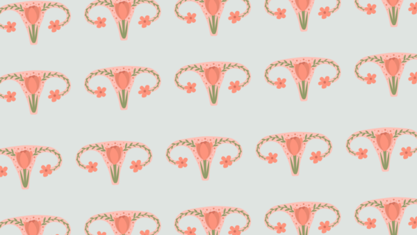 Header-600x338.png