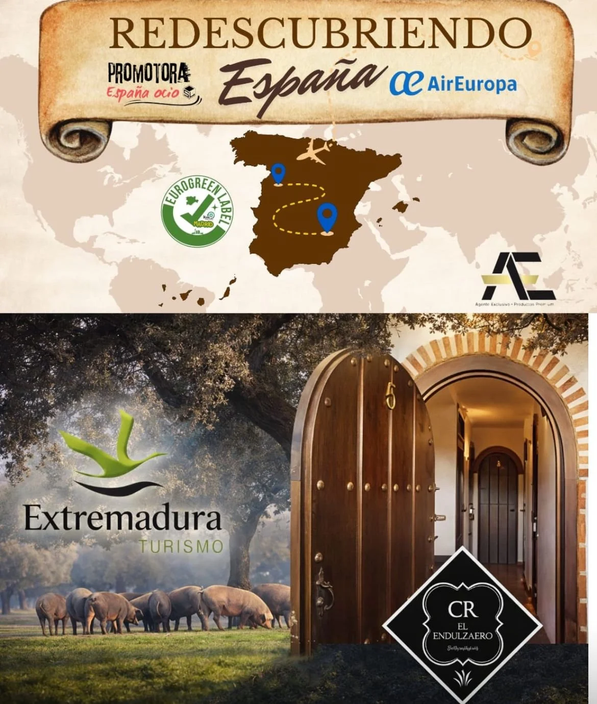 WhatsApp Image 2026-02-10 at 12.53.22.jpeg