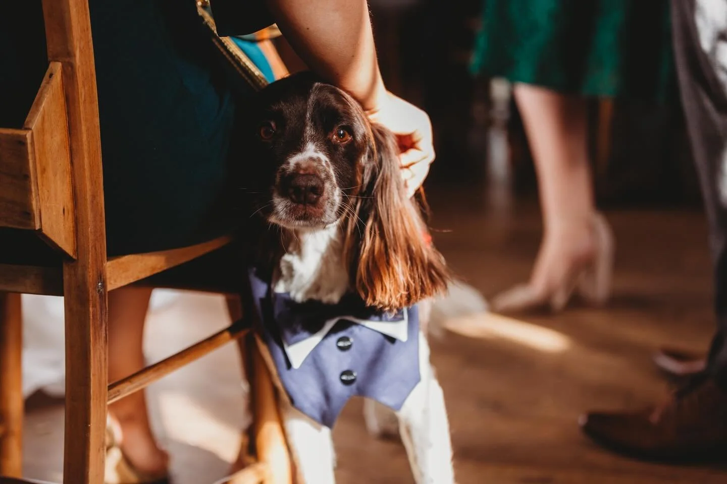 Did you know you can have your fur baby at the ceremony? All we ask is they wear a very smart bow tie (as a minimum) 🎩 

Image @josephkinermanphoto