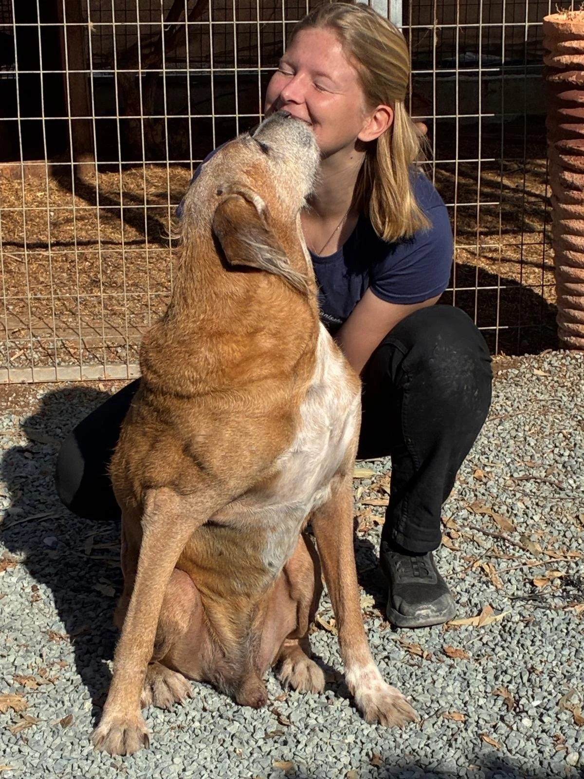 Healing Animal Communication in Cyprus performed by Anne De Bels