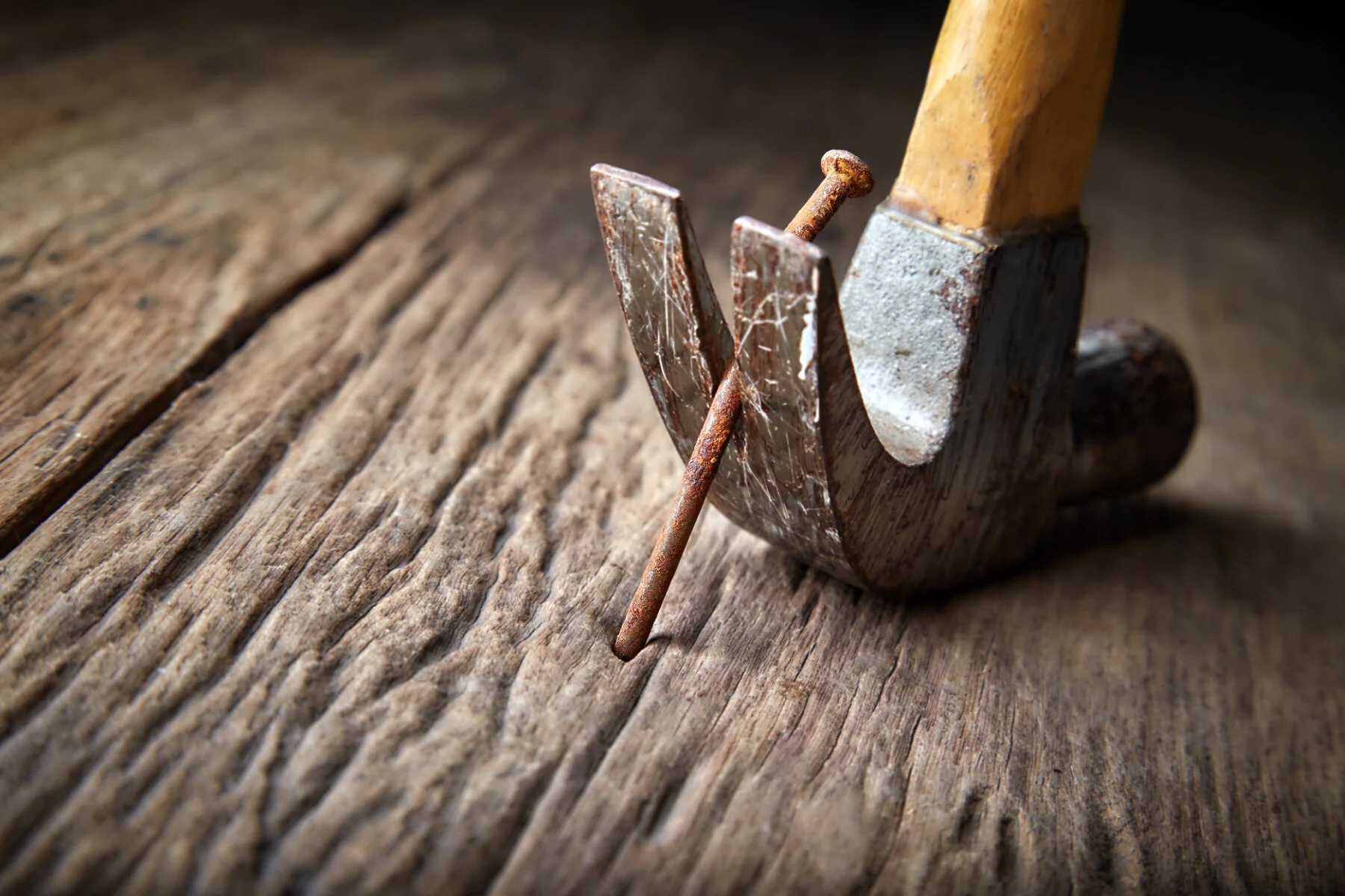 _Hammer-1.jpg