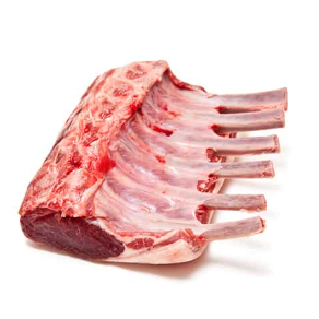 Screenshot 2026-02-05 121155.png