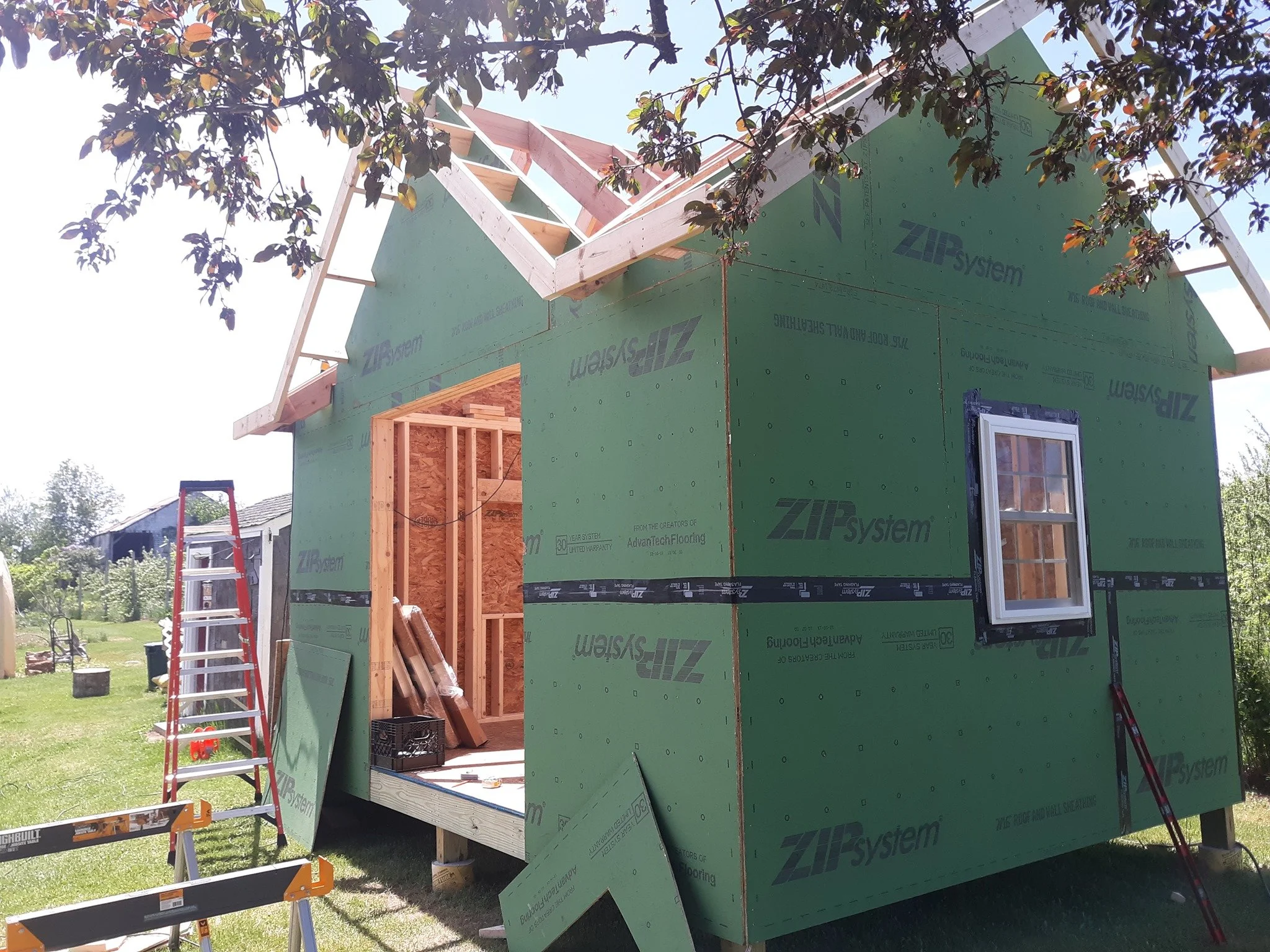 A house under construction with green ZIP System sheathing, a window installed, and a ladder nearby. The roof framing is in progress with wooden trusses.