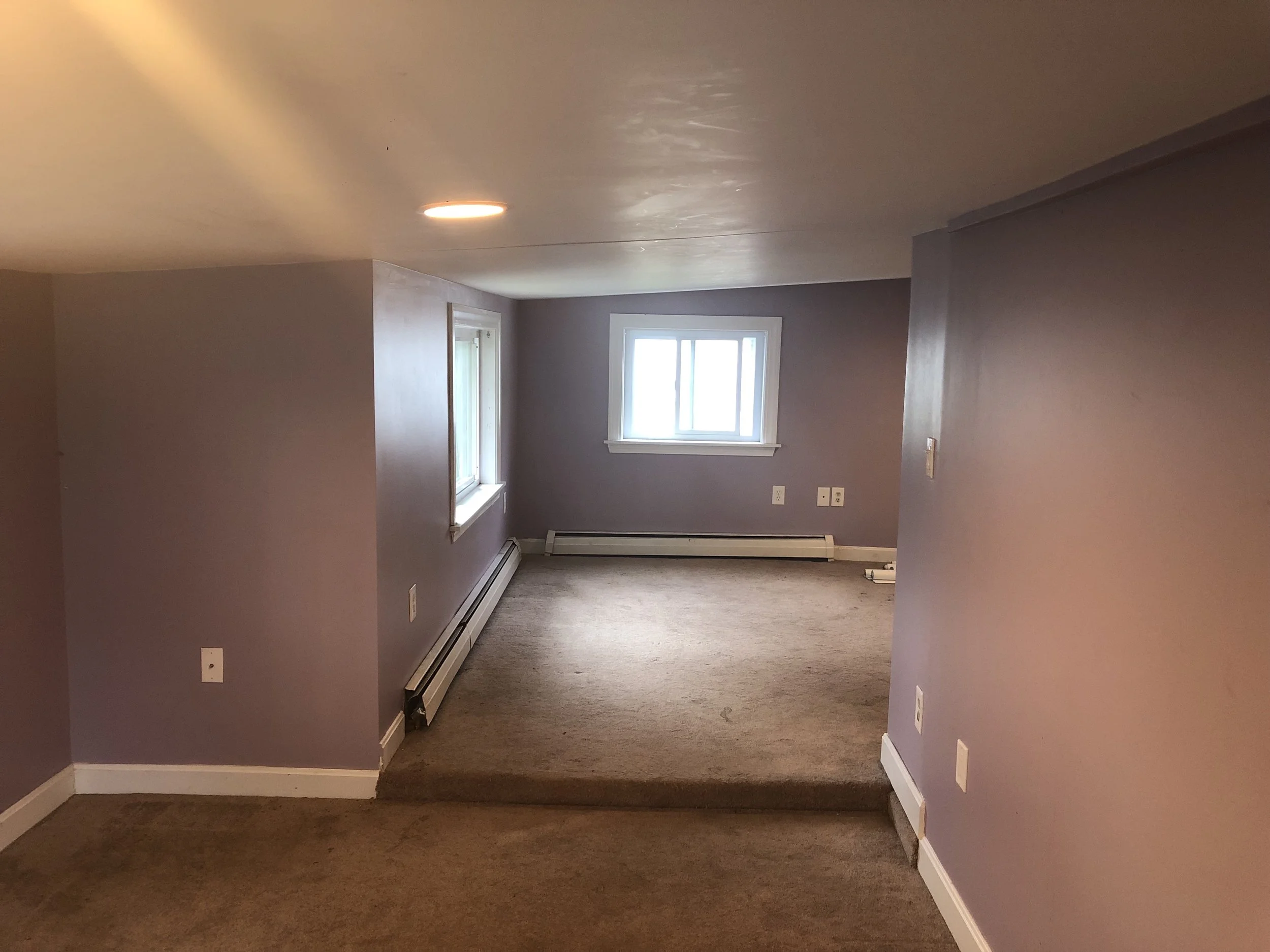 Empty living room with purple walls, brown carpet, and two windows.