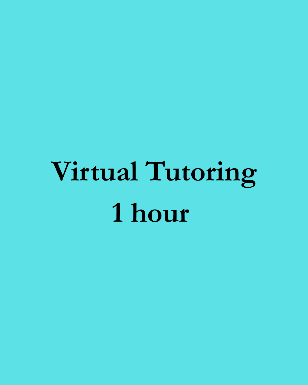 Virtual Tutoring - 1 Hour