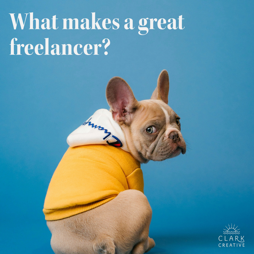 What makes a great freelancer? How to find the right creative partner for your brand