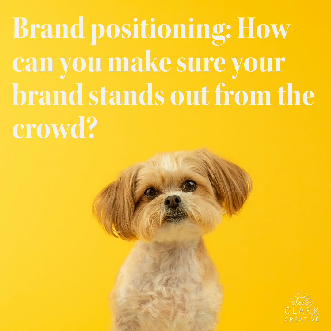 Brand positioning: How can your brand stand out from the crowd?&nbsp;