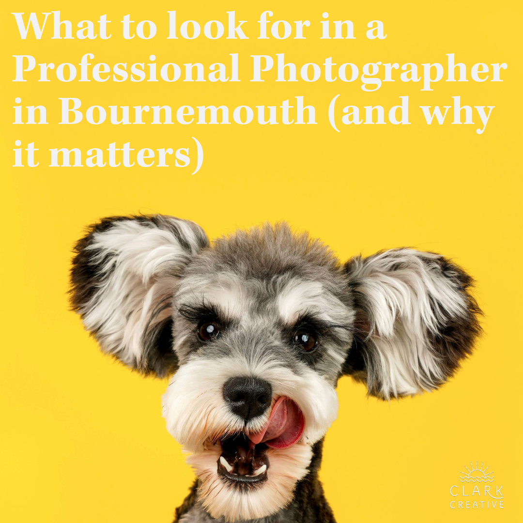 What to look for in a Professional Photographer in Bournemouth (and why it matters)</span>