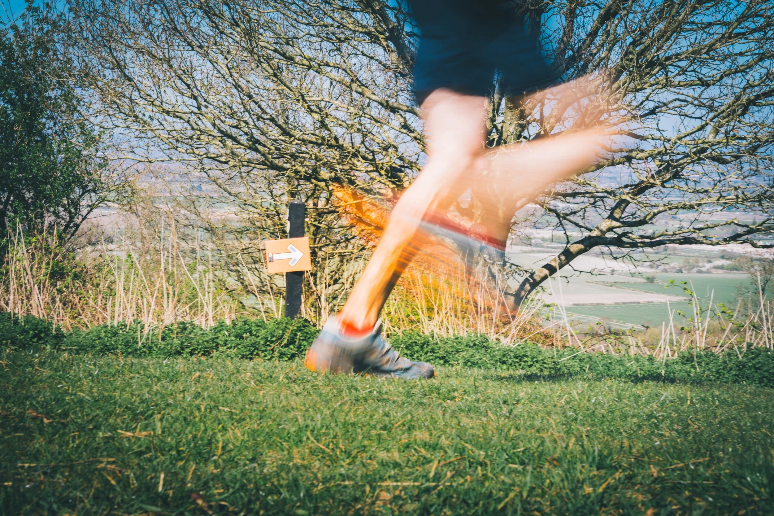 Blurred motion of a person running outdoors on grass with a tree and scenic landscape in the background.