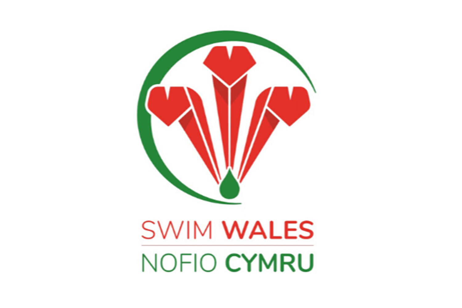 Swim Wales.jpg