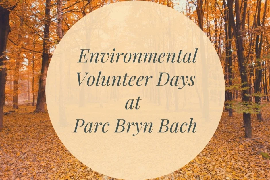 Environmental Volunteer Days