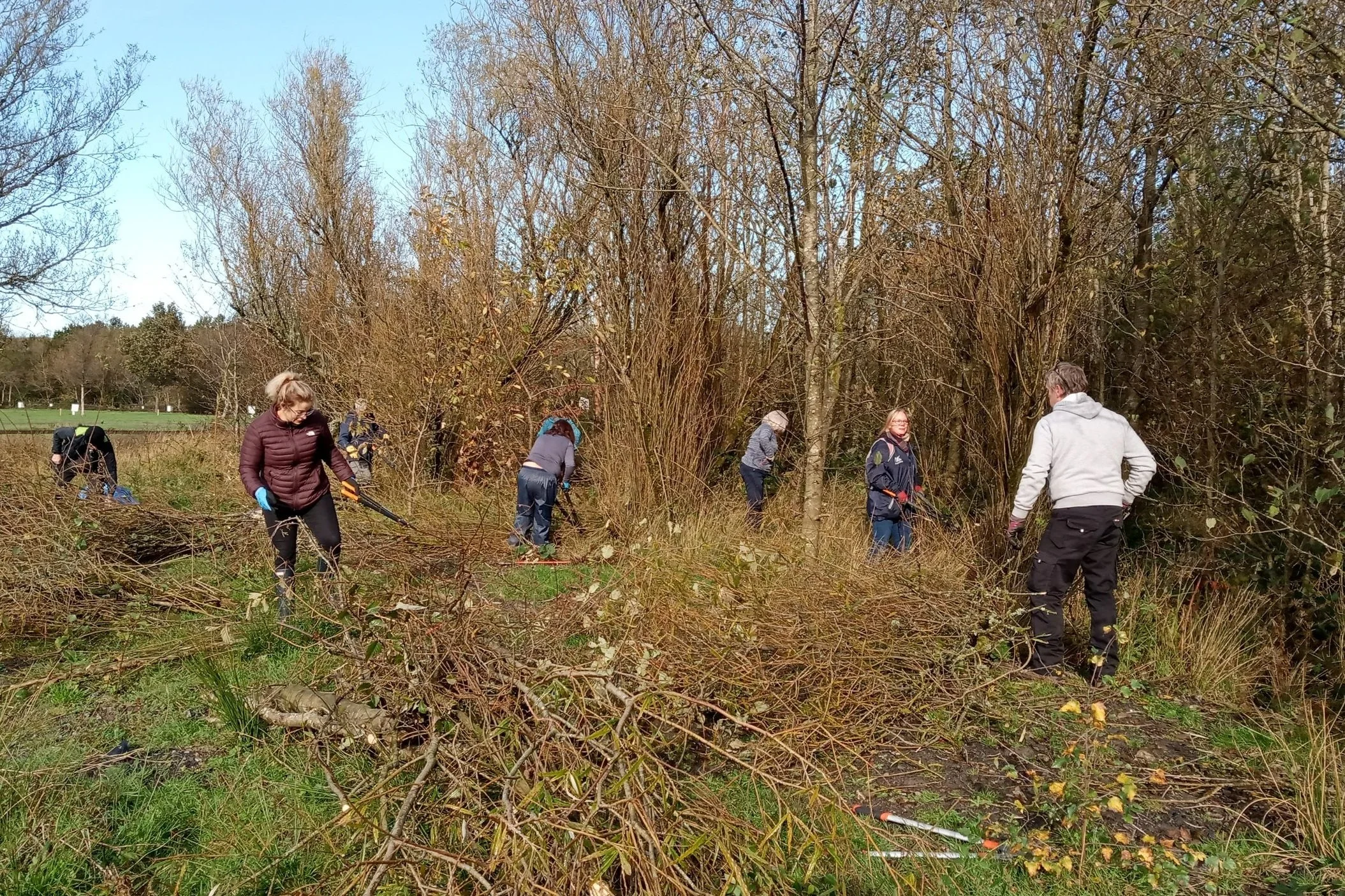 Environmental Volunteer Days