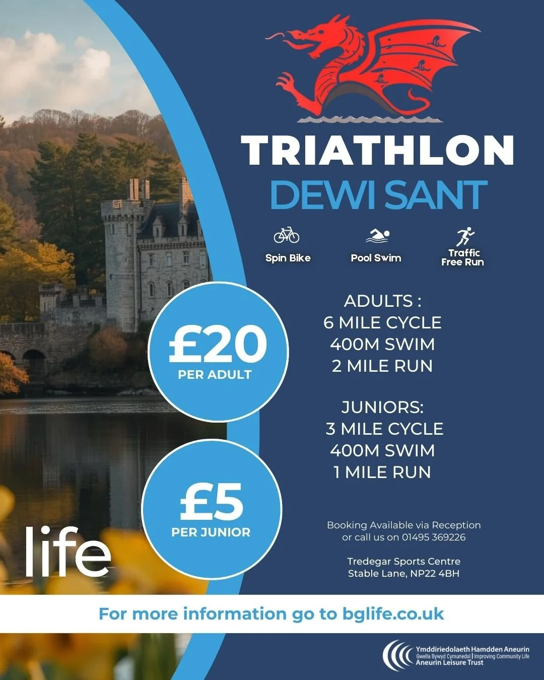 DEWI SANT remake (1).jpg