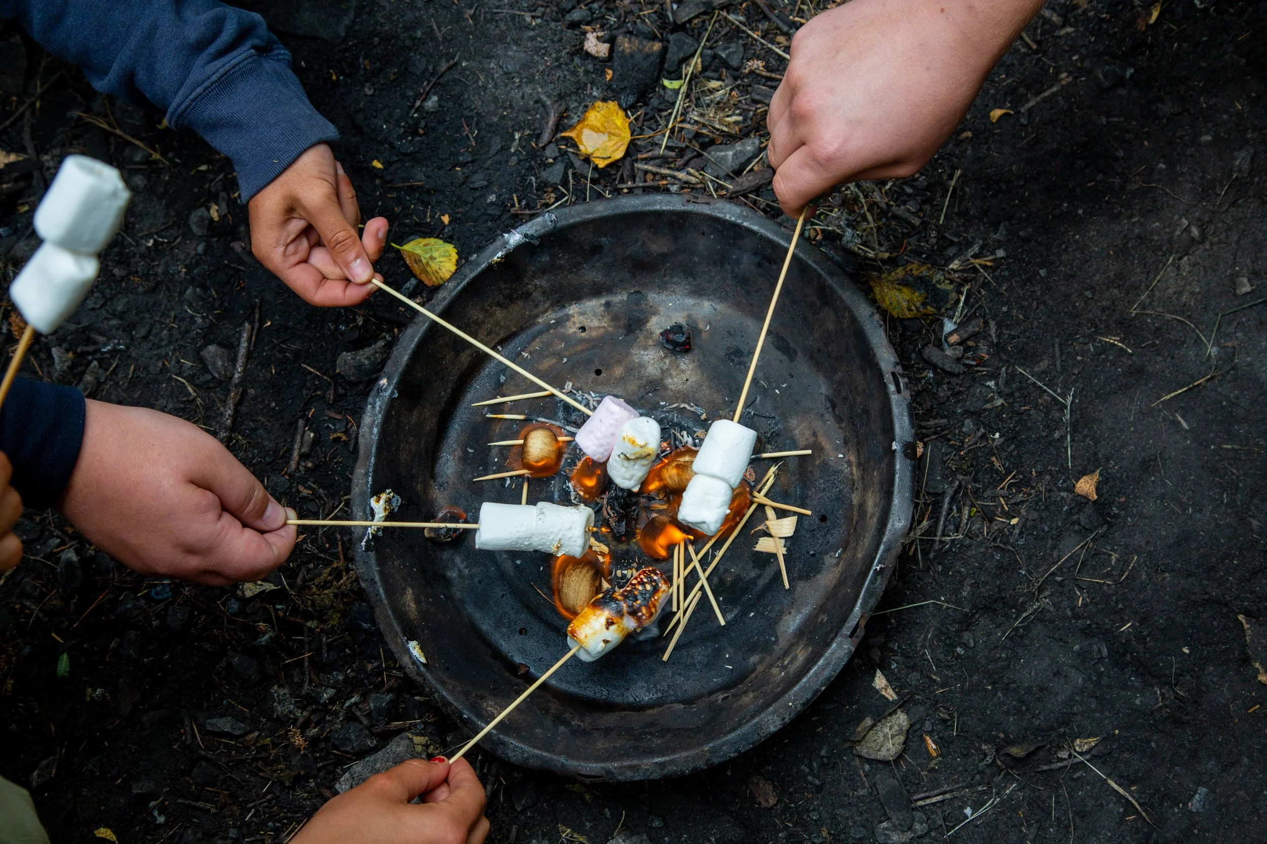 Bushcraft at Park Bryn Bach.jpg
