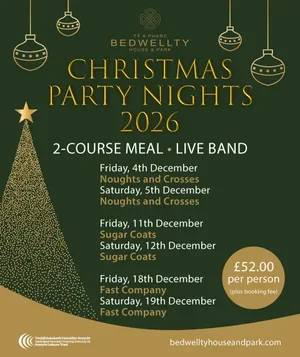 Christmas+Party+Nights_SM.webp