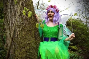 fairy.webp