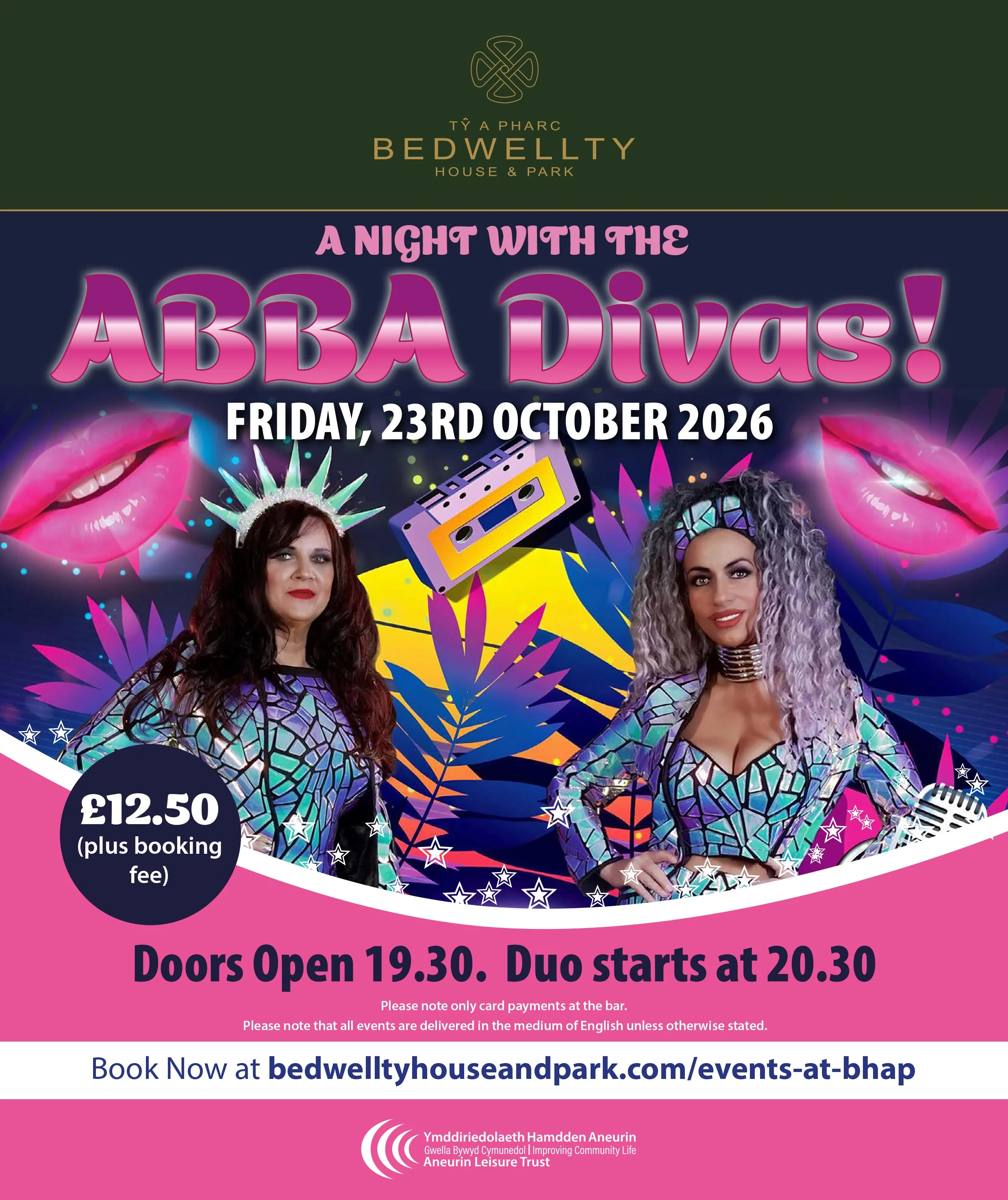 Abba Tribute Night