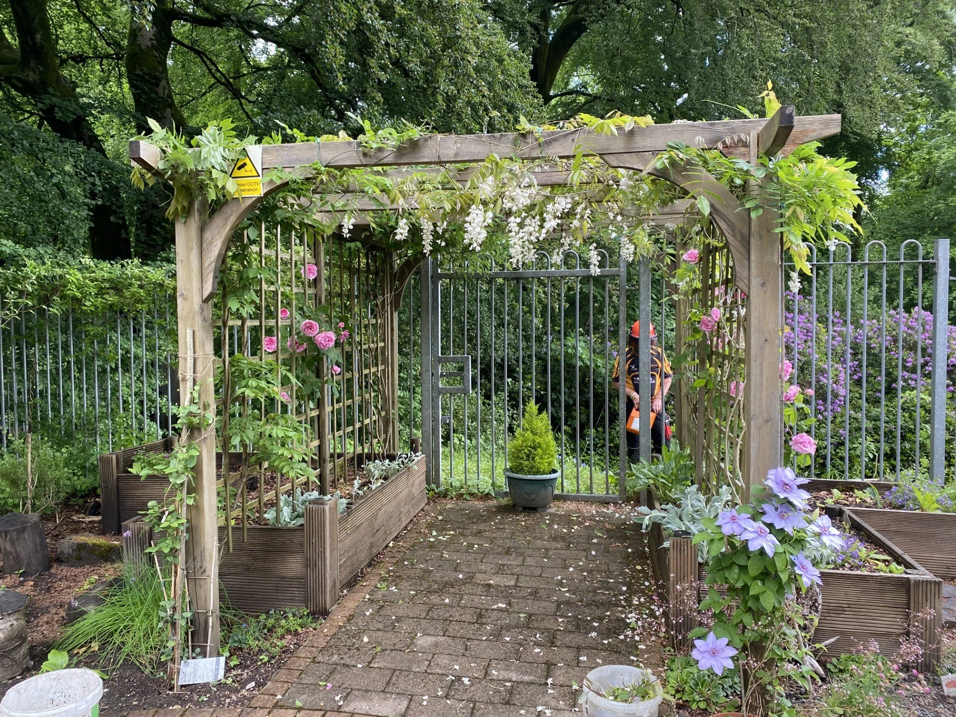 Sensory Garden2.jpg