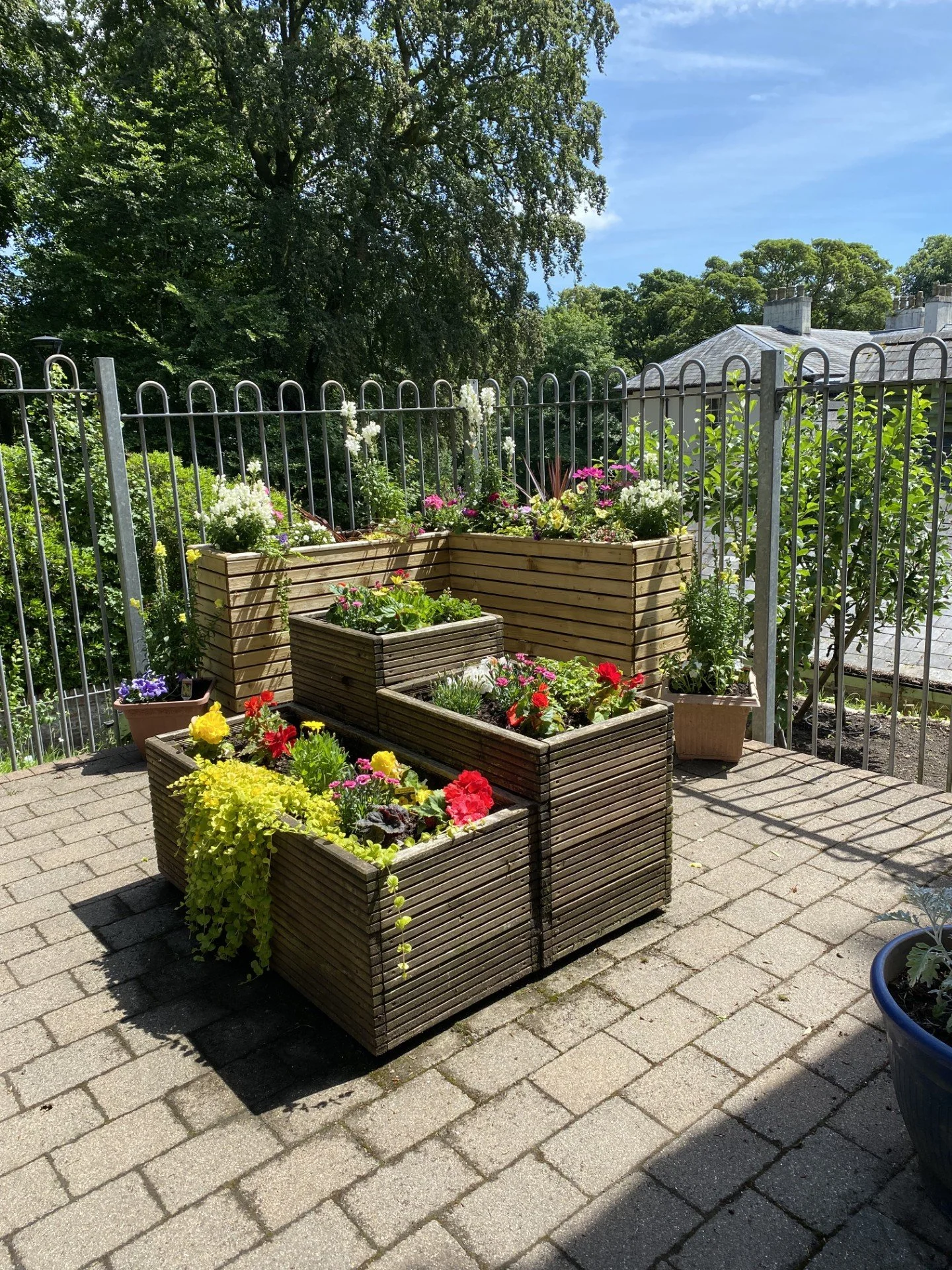 Sensory Garden5.jpg