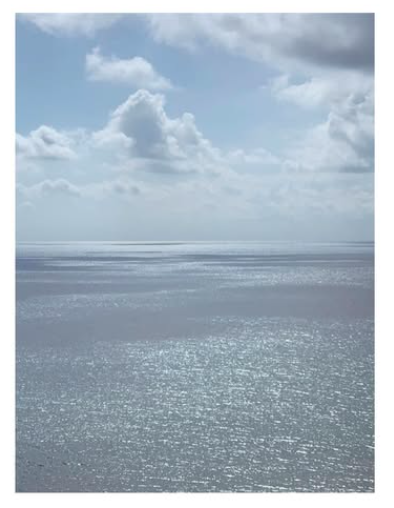 “I was Surprised by the pull of the sea”