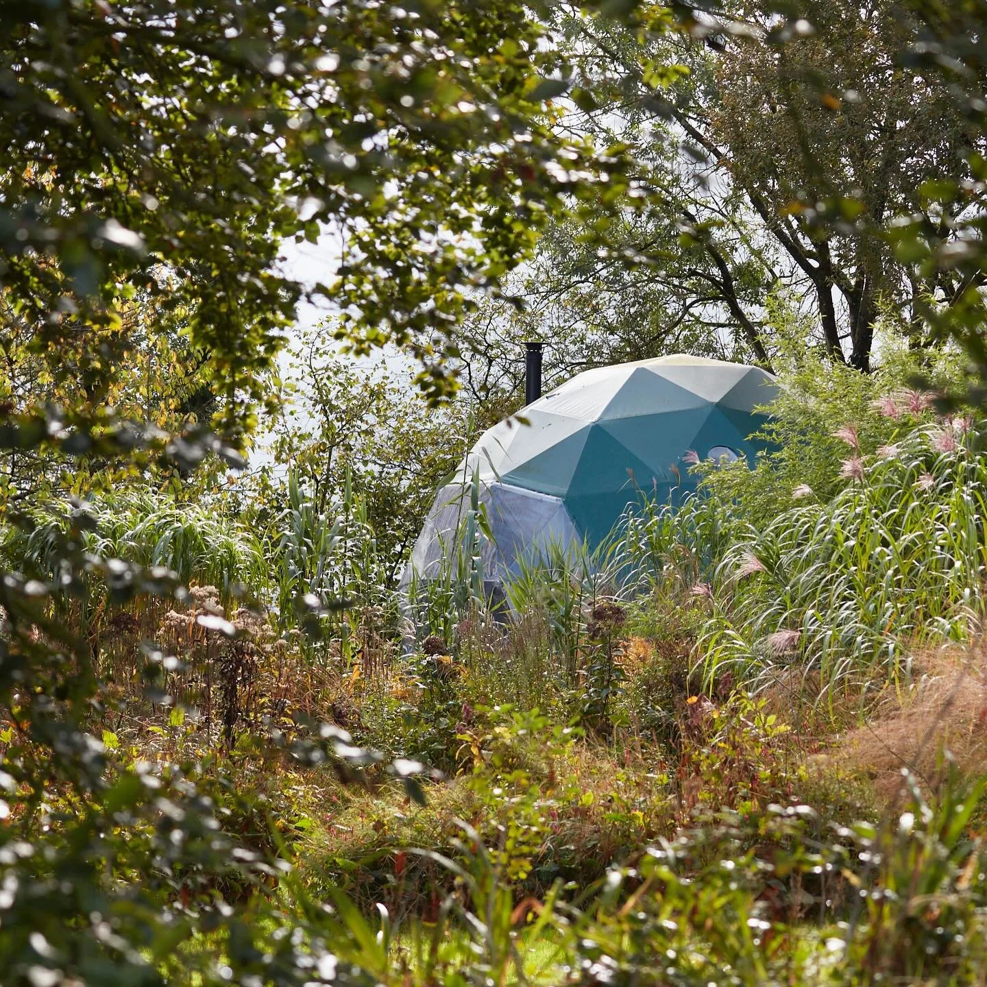 Inside the dome. All year round heavenly circular space