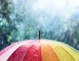 What to Do in North Devon When It Rains:     15 Amazing ideas. 