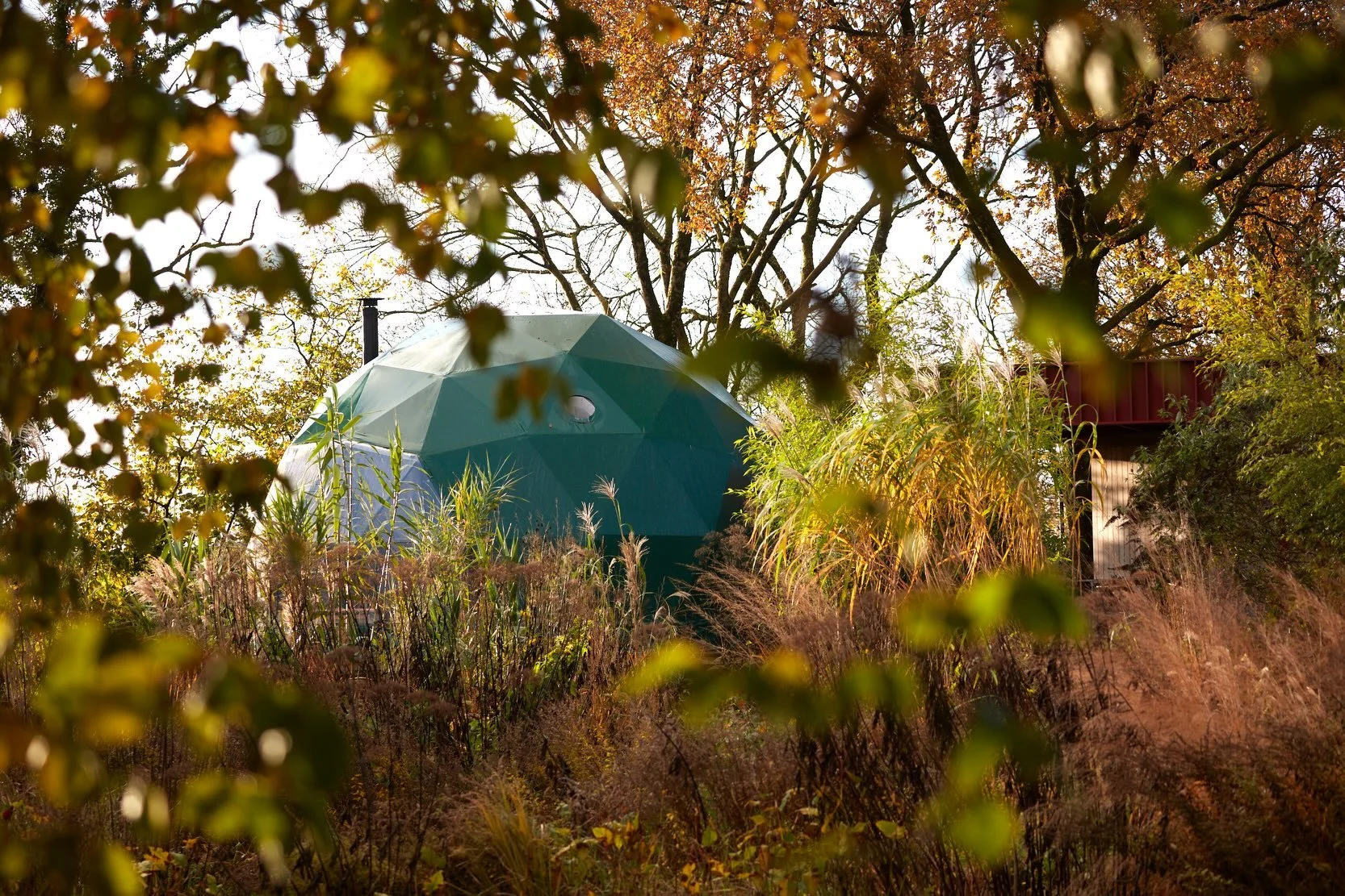 Magical Autumn is round the corner - we get the feeling it&rsquo;s going to be long and colourful. Without doubt our favourite season.