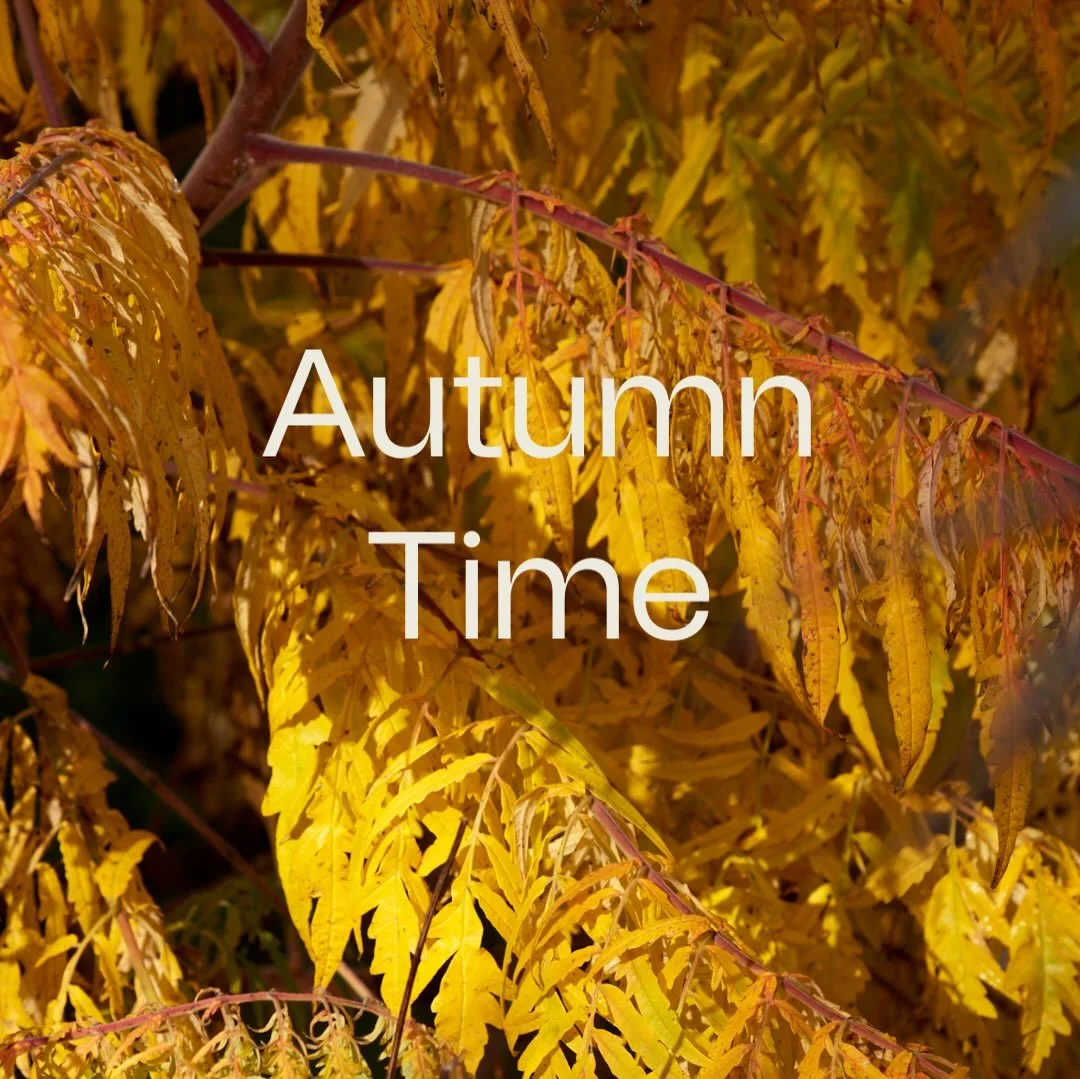 Autumn time is here again &hellip;