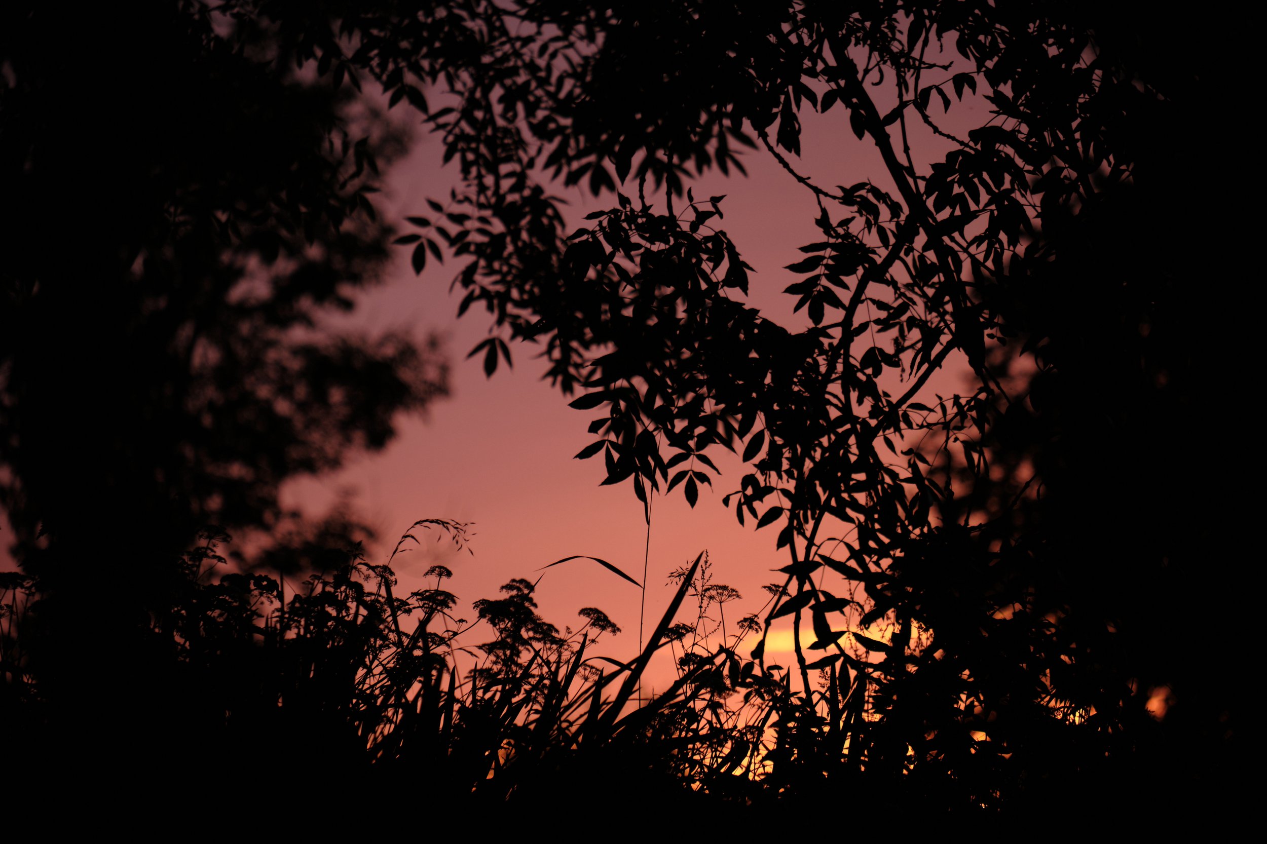 praktyka_project_north_devon_holiday_glamping_ 88.jpg