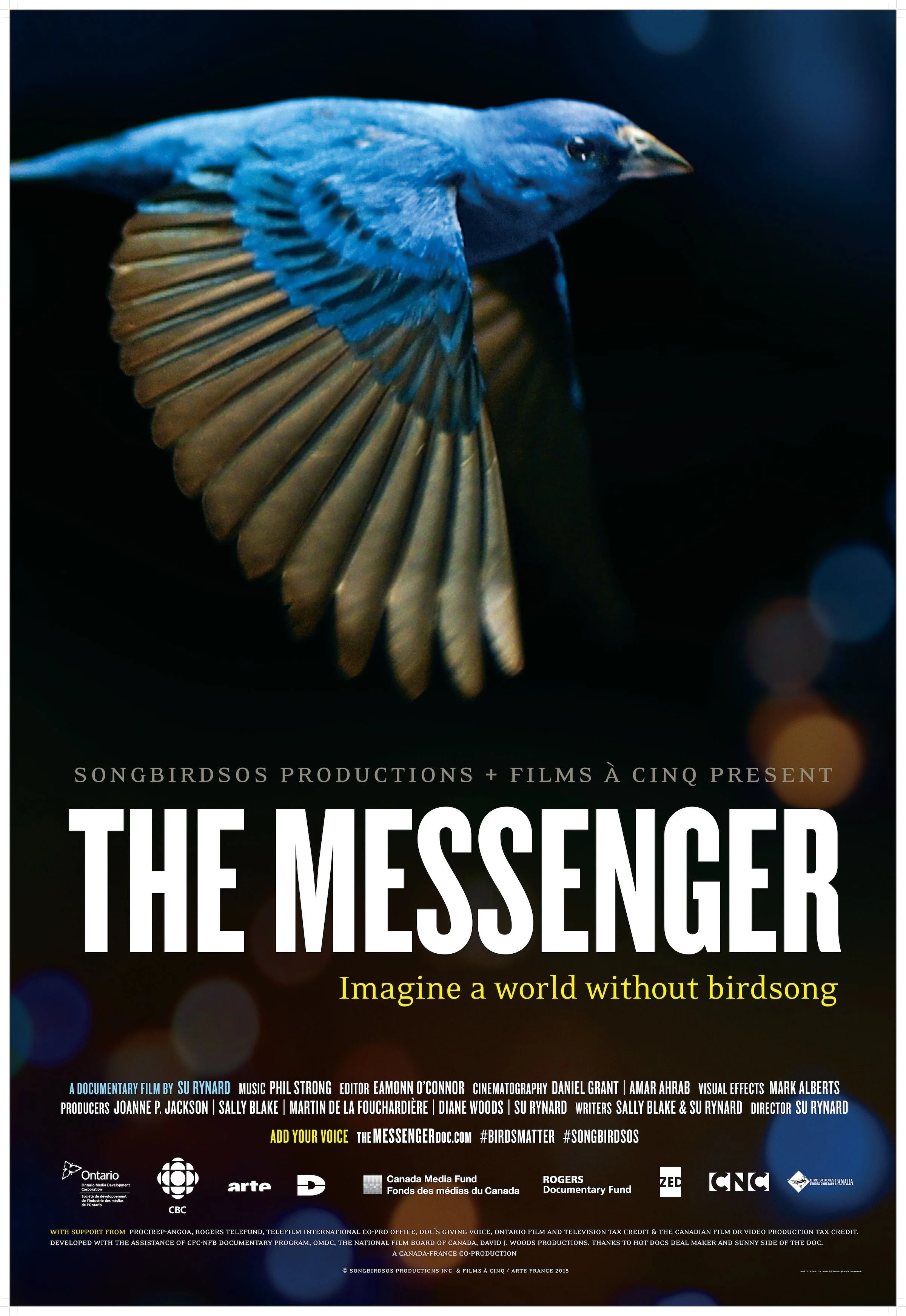 An ode to the imperilled songbird that explores humanity's deep connection to birds and the effects man-made hazards have had on their populations.