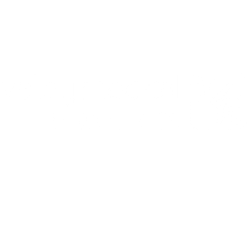 Valley Medical White Logo.png