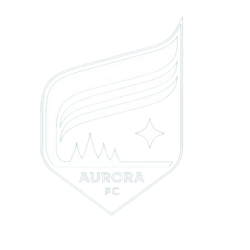 MN Aurora White Logo.png