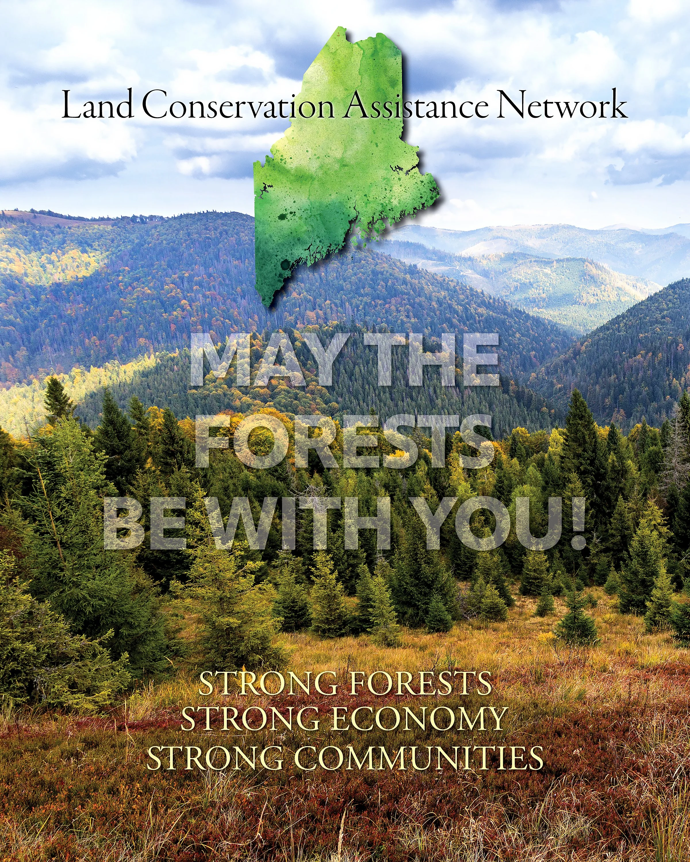 LandCAN Forest booklet cover.jpg