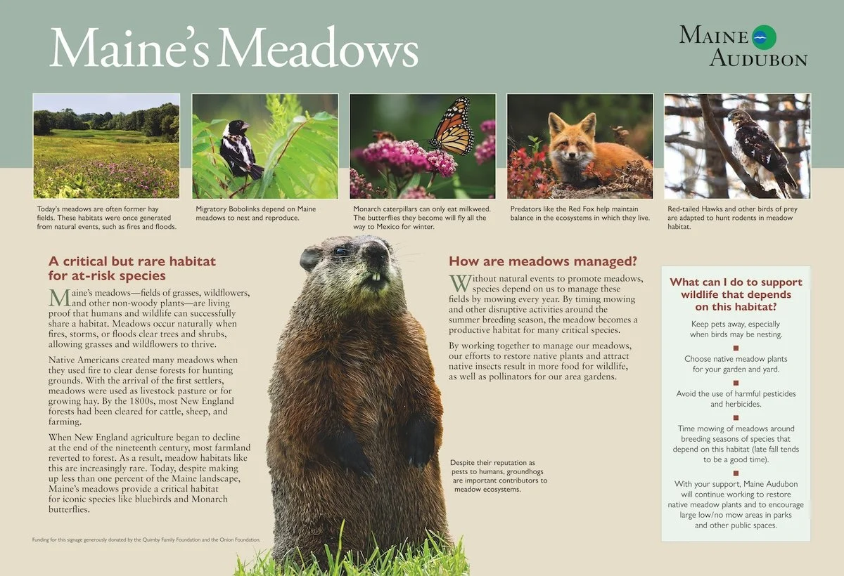Audubon Meadows.jpg