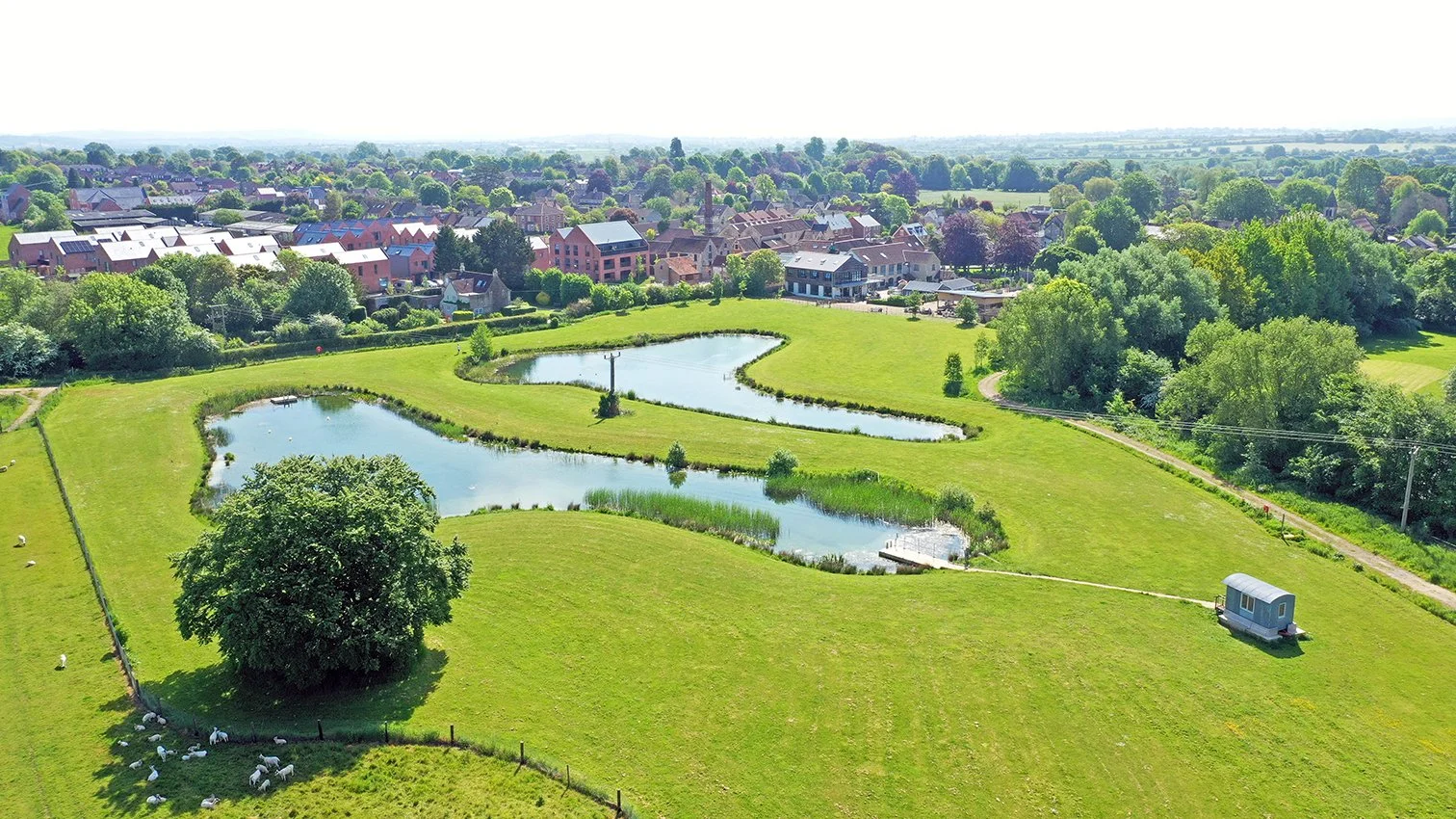 1.5 GFS Summer23 GreenTraveller.jpg