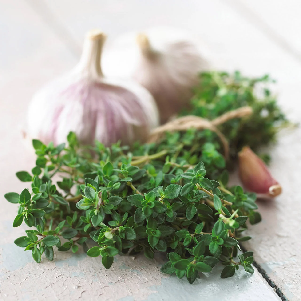 lemon-Thyme.jpg