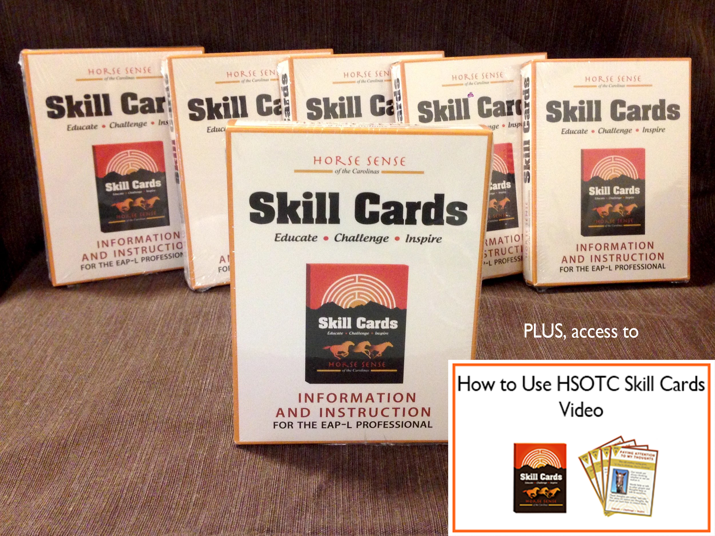 Skill+Cards_WEB+webinar.png